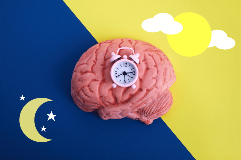 Cover for Mastering Circadian Rhythm Post